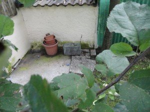 presidio Montebelluna (20)