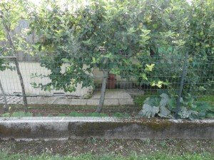 presidio Montebelluna (21)