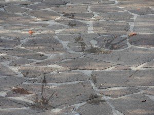 presidio Montebelluna (22)