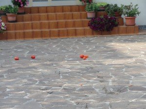 presidio Montebelluna (23)