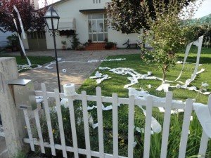 presidio Montebelluna (27)