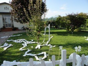 presidio Montebelluna (28)