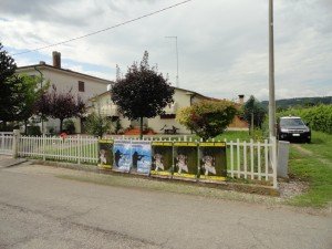 presidio Montebelluna (5)