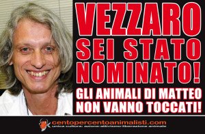 loca adesiva VEZZARO 10pz