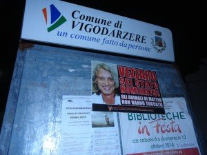 municipio Vigodarzere (6)