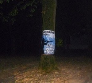 11922060_468693566635495_557702006_o