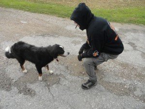 Mareno di Piave (12)