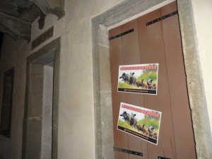 Municipio Arquà (1)