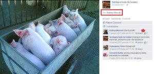 Andrea Moscati Maialini