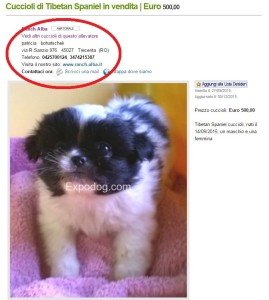 Patrizia Bohatschek 2