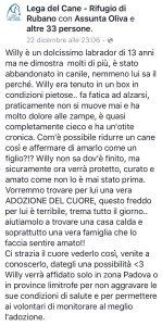 anuncio Canile di Rubano