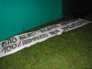 piazza Ariostea - Ferrara (1)