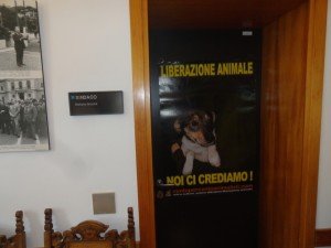 Torri del Benaco (5)