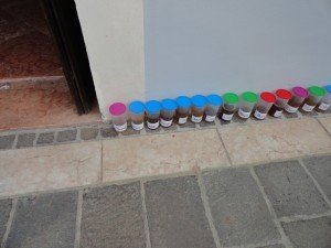 Torri del Benaco (6)