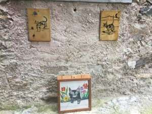 Brolo il paese dei gatti (11)