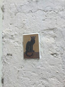 Brolo il paese dei gatti (13)