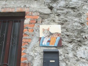 Brolo il paese dei gatti (19)