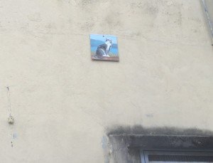 Brolo il paese dei gatti (22)