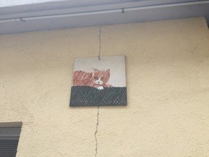 Brolo il paese dei gatti (24)