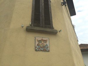 Brolo il paese dei gatti (25)