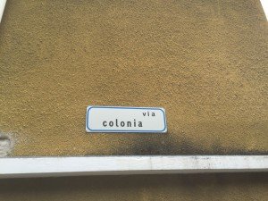 Brolo il paese dei gatti (27)