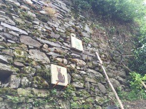 Brolo il paese dei gatti (30)