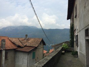 Brolo il paese dei gatti (31)