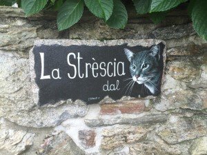 Brolo il paese dei gatti (4)