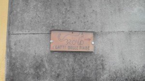 Brolo il paese dei gatti (40)