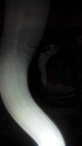 Brolo il paese dei gatti (41)