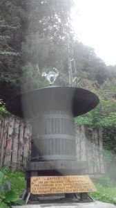 Brolo il paese dei gatti (43)