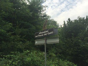 Brolo il paese dei gatti (44)