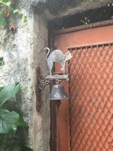 Brolo il paese dei gatti (5)