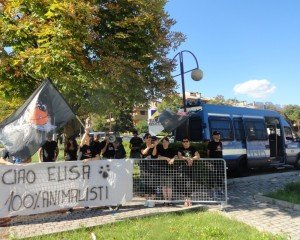 Palio di Feltre 7 agosto 2016 (23)