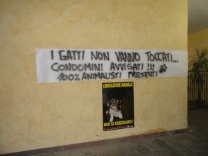 Via Roma - Saonara (1)