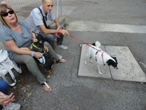 presidio per Jack (32)