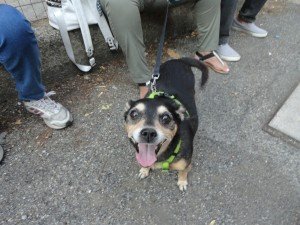 presidio per Jack (33)