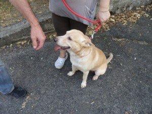 presidio per Jack (37)