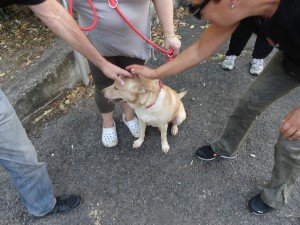 presidio per Jack (38)