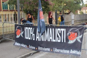 presidio vs palio di Montagnana (7)