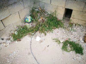 tugurio via Pradat - Azzano Decimo  (1)