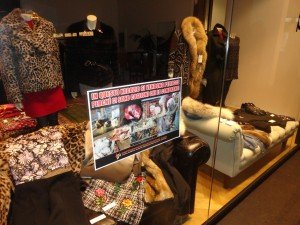 blitz antipellicce Padova (1)