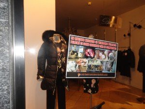 blitz antipellicce Padova (13)