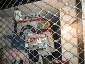 blitz antipellicce Padova (14)