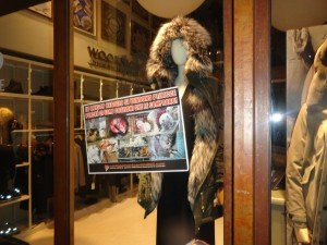 blitz antipellicce Padova (15)