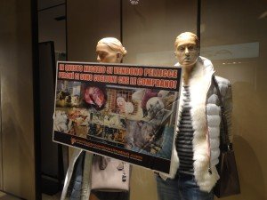 blitz antipellicce Padova (18)