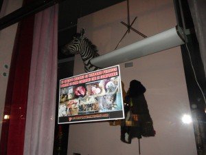 blitz antipellicce Padova (2)