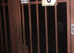 via-montello-gerenzano-varese-3