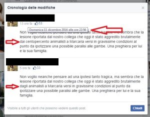 siliconata-modifiche-1