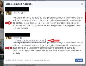 siliconata-modifiche-2